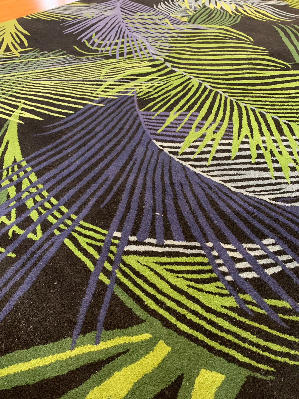 Hand Tufted Wool Black Tropical Fronds Rug (8'x10')